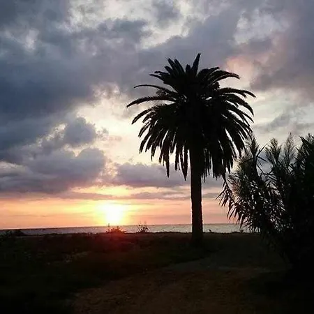 Mediterrania Marina *
