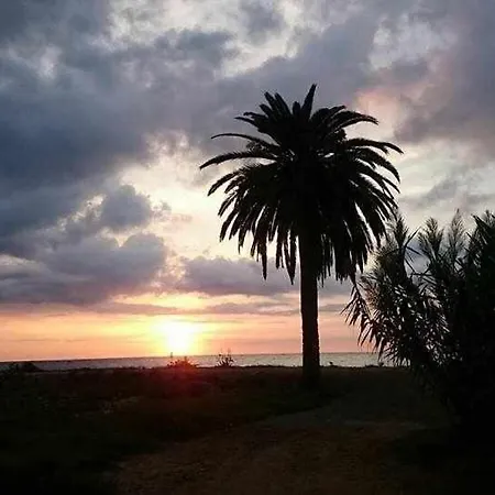 Mediterrania Marina * Puerto de Sagunto